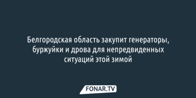 Белгородская область к зиме закупит генераторы, буржуйки и дрова