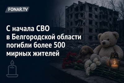 С начала СВО в Белгородской области погибли более 500 мирных жителей