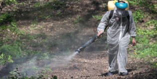 В Белгороде обрабатывают общественные пространства от клещей