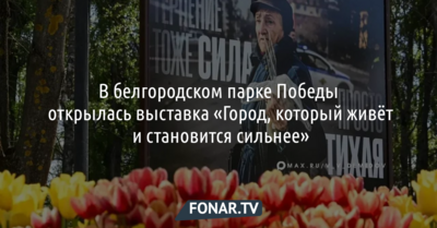В белгородском парке Победы обновили фотовыставку