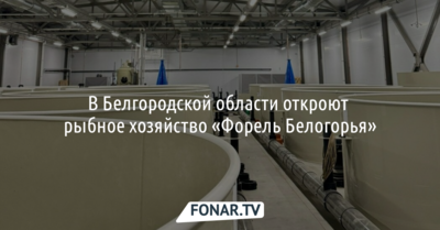 Владимир Зотов займётся выращиванием форели 