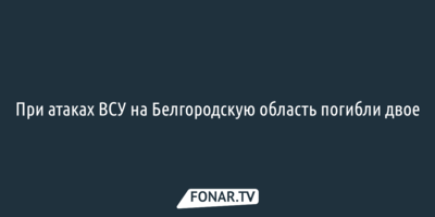 При атаках ВСУ на Белгородскую область погибли двое