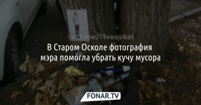 В Старом Осколе фотография мэра помогла убрать кучу мусора