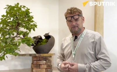 Старооскольский бонсай «засветился» на японском телевидении