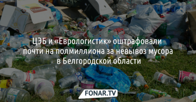 ЦЭБ и «Еврологистик» оштрафовали почти на полмиллиона за невывоз мусора в Белгородской области