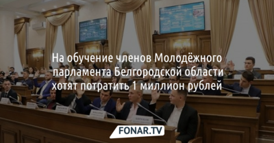 На обучение членов Молодёжного парламента Белгородской области хотят потратить 1 миллион рублей 