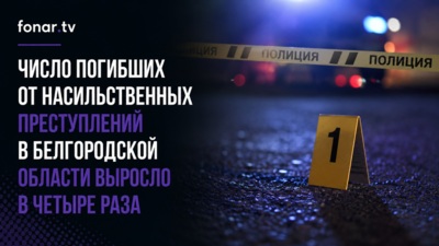 Число погибших от насильственных преступлений в Белгородской области выросло в четыре раза