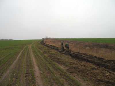 В Белгородской области высаживают «зелёную границу» с Украиной