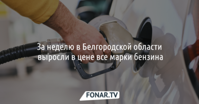 За неделю в Белгородской области выросли в цене все марки бензина