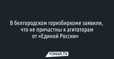 В белгородском горизбиркоме прокомментировали информацию о причастности к агитаторам от «Единой России»