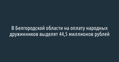 В Белгородской области на оплату народных дружинников выделят 44,5 миллиона рублей