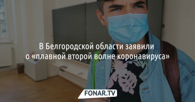 В Белгородской области заявили о «плавной второй волне коронавируса»
