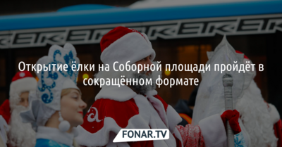 Из-за пандемии в Белгороде урезали программу открытия ёлки на Соборной площади
