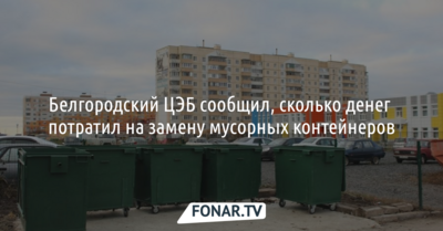 В белгородском ЦЭБе рассказали, сколько денег потратили на замену мусорных контейнеров в области