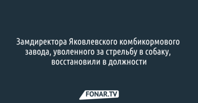 Замдиректора Яковлевского комбикормового завода, уволенного за стрельбу в собаку, восстановили в должности