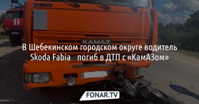 В Шебекинском городском округе водитель Skoda Fabia​ погиб в ДТП с «КамАЗом»