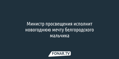 Министр просвещения исполнит новогоднюю мечту белгородского мальчика 