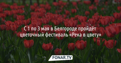 В Белгороде проведут цветочный фестиваль «Река в цвету»