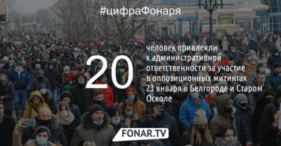 В Белгородской области озвучили количество привлечённых к ответственности за участие в акциях 23 января