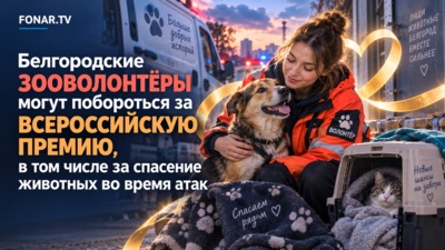 Белгородские зооволонтёры могут побороться за всероссийскую премию, в том числе за спасение животных во время атак