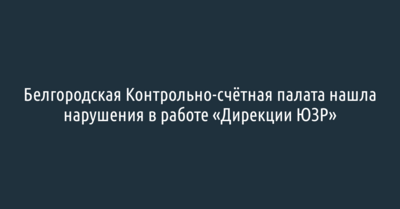 Белгородская Контрольно-счётная палата нашла нарушения в работе «Дирекции ЮЗР»