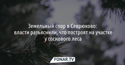 Земельный спор в Севрюково: власти разъяснили, что построят на участке у соснового леса