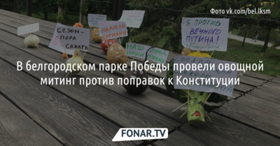 В белгородском парке Победы провели овощной митинг против поправок к Конституции