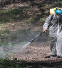 В Белгороде обрабатывают общественные пространства от клещей