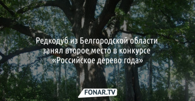 Редкодуб из Белгородской области занял второе место в конкурсе «Российское дерево года»