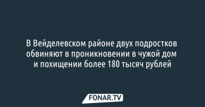 В Вейделевском районе двух подростков обвиняют в проникновении в чужой дом и похищении более 180 тысяч рублей 
