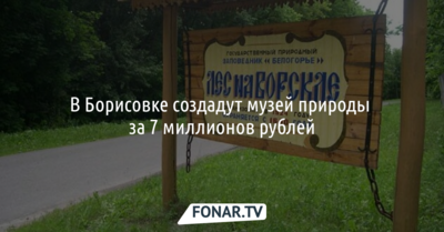 В борисовском «Лесу на Ворскле» хотят сделать музей природы за 7 миллионов рублей
