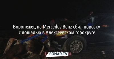 Воронежец на Mercedes-Benz сбил повозку с лошадью в Алексеевском горокруге