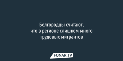 Опрос: Белгородцы считают, что в регионе много трудовых мигрантов