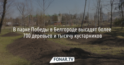 В парке Победы в Белгороде высадят более 700 деревьев и тысячу кустарников