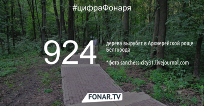 В Белгороде в Архиерейской роще вырубят 924 дерева