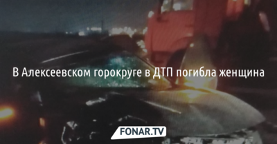 В Алексеевском горокруге из-за пьяного водителя в ДТП погибла женщина