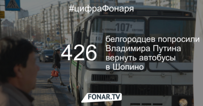 Жители Шопина собрали более 400 подписей с просьбой пустить автобус до посёлка. В районной администрации им предложили подождать год