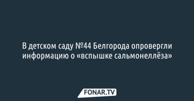 В детском саду №44 Белгорода опровергли информацию о «вспышке сальмонеллёза»