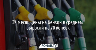 В Белгородской области за месяц цены на бензин в среднем выросли на 70 копеек