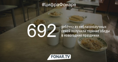 Почти 700 белгородских детей из неблагополучных семей получили обеды на новогодних праздниках