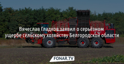 Вячеслав Гладков заявил о серьёзном ущербе сельскому хозяйству Белгородской области