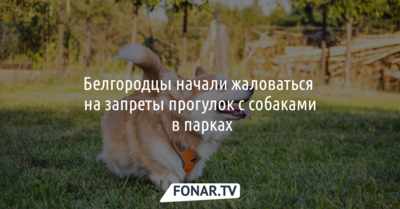 Белгородцы начали жаловаться на запреты прогулок с собаками в парках