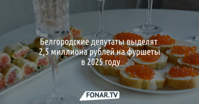 Белгородские депутаты выделят 2,5 миллиона рублей на фуршеты в 2025 году