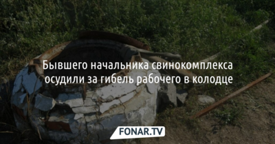 Бывшего начальника свинокомплекса осудили за гибель рабочего в колодце