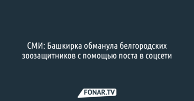 СМИ: Башкирка обманула белгородских зоозащитников с помощью поста в соцсети