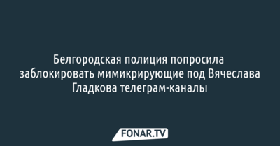 Белгородская полиция попросила заблокировать мимикрирующие под Вячеслава Гладкова телеграм-каналы