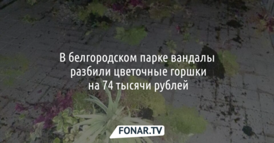 В белгородском парке вандалы разбили цветочные горшки на 74 тысячи рублей