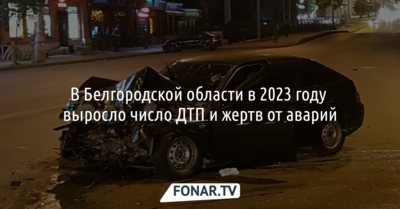 В Белгородской области в 2023 году выросло число ДТП и жертв аварий