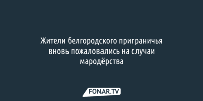 Жители белгородского приграничья вновь пожаловались на случаи мародёрства 