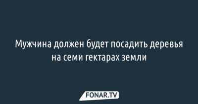 ​Губернатор Евгений Савченко предложил три наказания для спилившего дуб в Борисовском районе